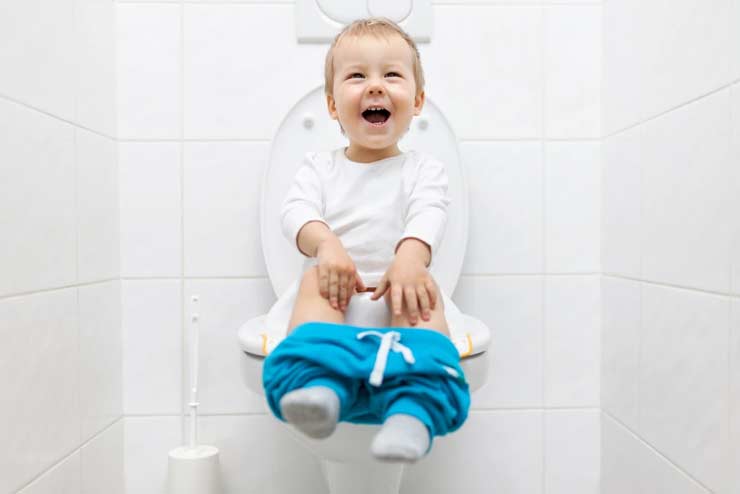 How you can fix a baby potty seat